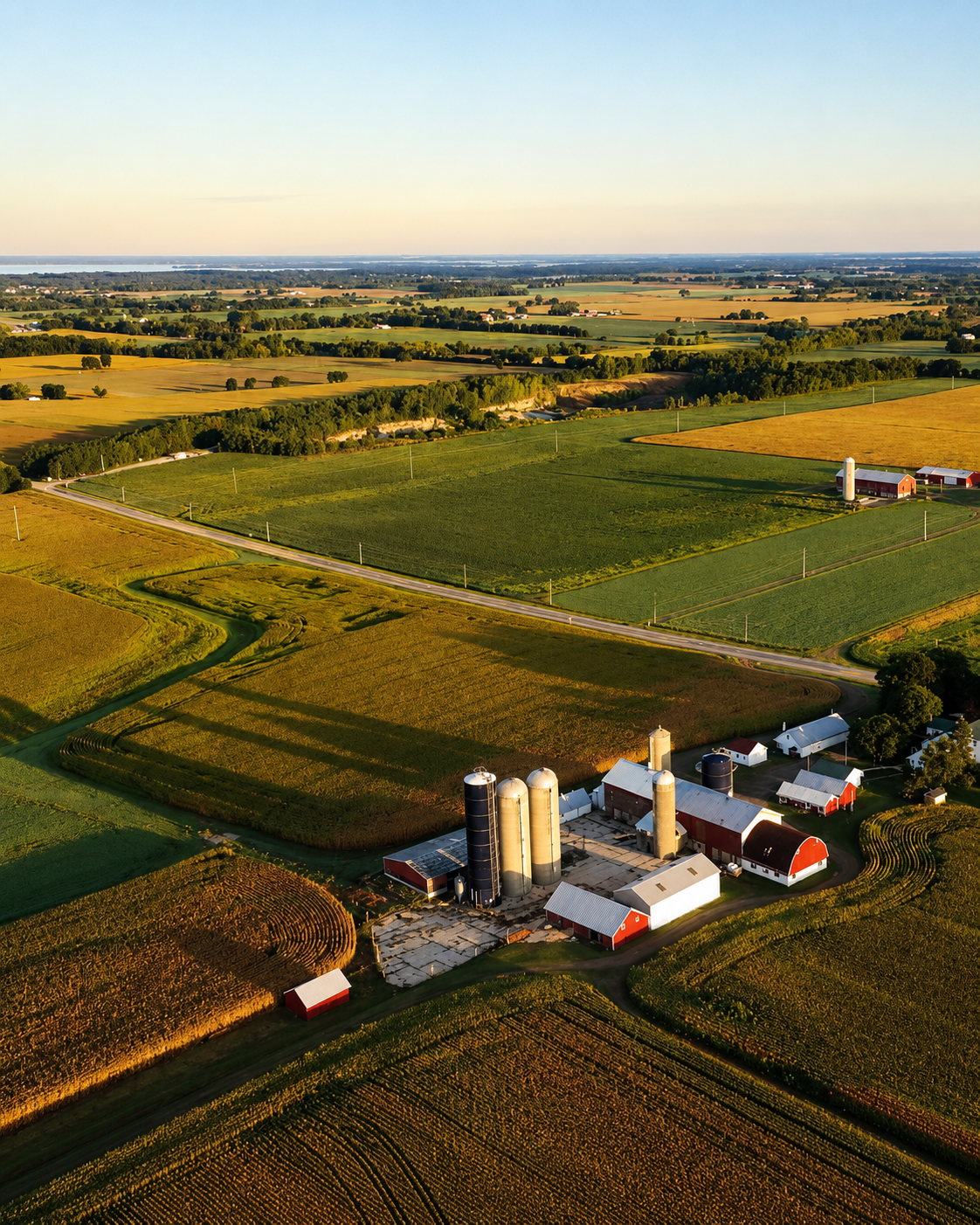 Más allá de Chicago: el dilema económico del Illinois rural